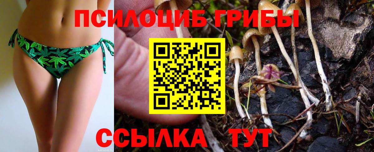 Тверь  Галлюциногенные грибы мицелий  Вход с VPN 
